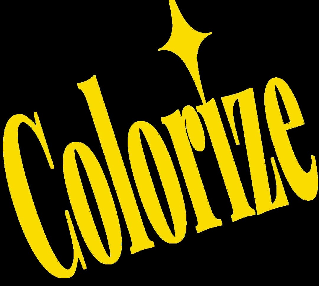 picture colorizer software